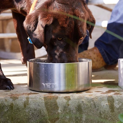 YETI - Boomer 8 Dog Bowl - Stainless Steel