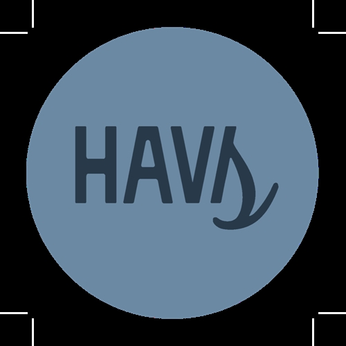 HAVS Klistermærker - Logo Blue Navy