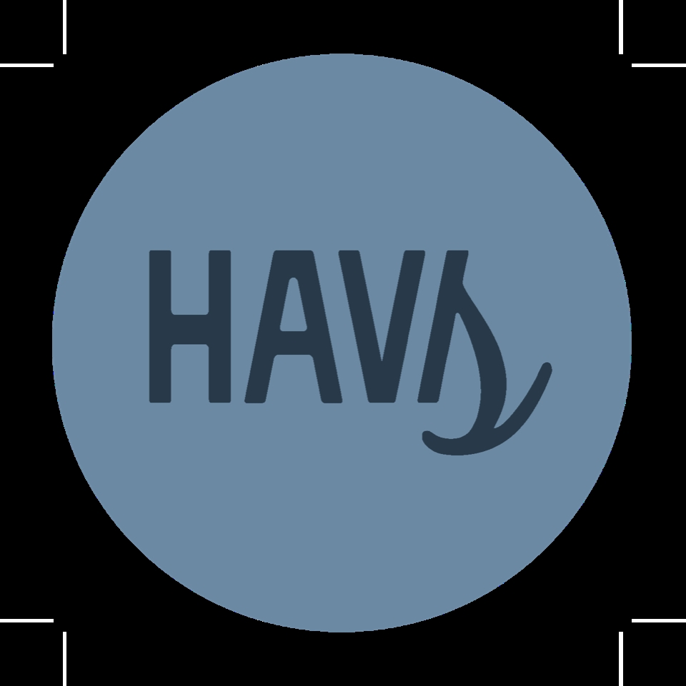HAVS Klistermærker - Logo Blue Navy