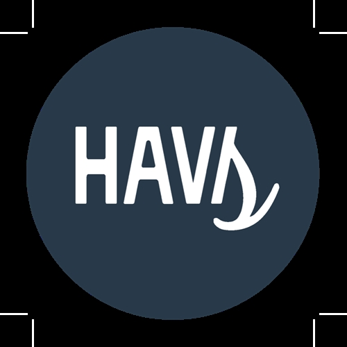 HAVS Klistermærker - Logo Navy White