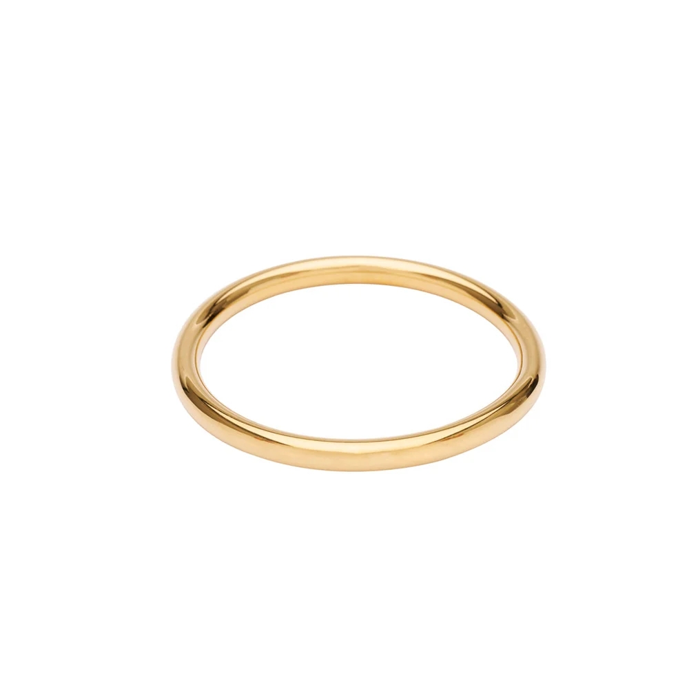 Pico Ray Bangle 6mm - FG Goldplated 65cm